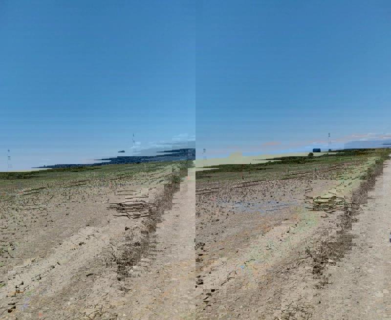 ADANA KOZAN'DA 48.272 M2 SATILIK TARLA
